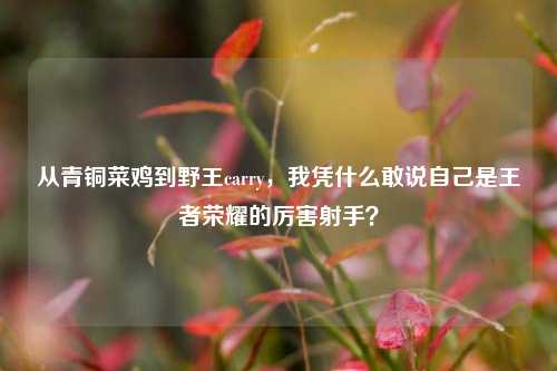 从青铜菜鸡到野王carry，我凭什么敢说自己是王者荣耀的厉害射手？