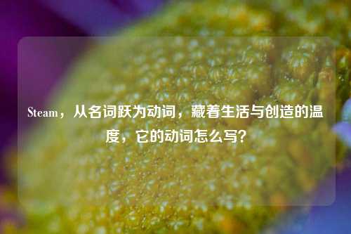 Steam，从名词跃为动词，藏着生活与创造的温度，它的动词怎么写？