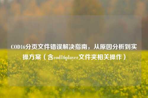 COD16分页文件错误解决指南，从原因分析到实操方案（含cod16player文件夹相关操作）