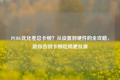 PUBG优化差总卡顿？从设置到硬件的全攻略，助你告别卡顿吃鸡更丝滑