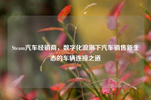 Steam汽车经销商，数字化浪潮下汽车销售新生态的车辆连接之道