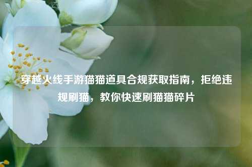 穿越火线手游猫猫道具合规获取指南,拒绝违规刷猫,教你快速刷猫猫碎片