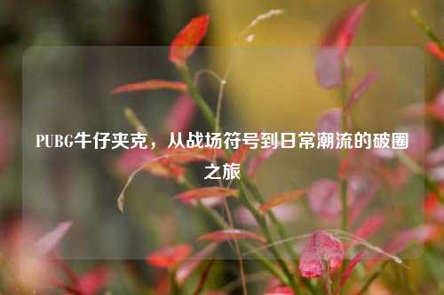 PUBG牛仔夹克，从战场符号到日常潮流的破圈之旅