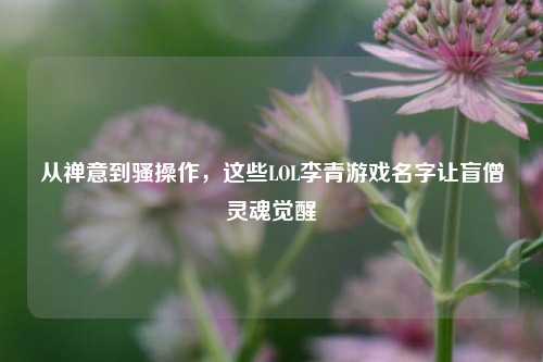 从禅意到骚操作,这些LOL李青游戏名字让盲僧灵魂觉醒