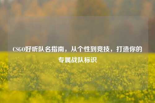 CSGO好听队名指南,从个性到竞技,打造你的专属战队标识
