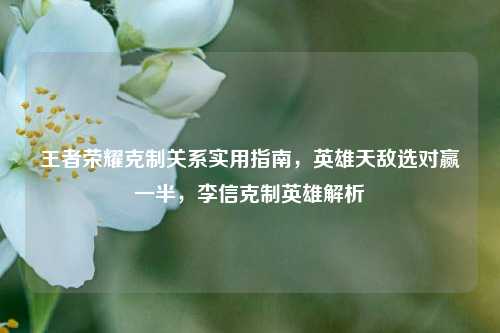 王者荣耀克制关系实用指南,英雄天敌选对赢一半,李信克制英雄解析