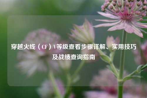 穿越火线(CF)V等级查看步骤详解、实用技巧及战绩查询指南