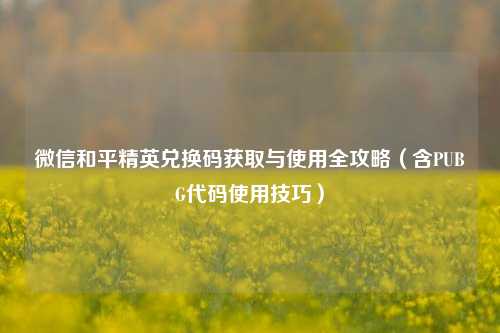 微信和平精英兑换码获取与使用全攻略（含PUBG代码使用技巧）