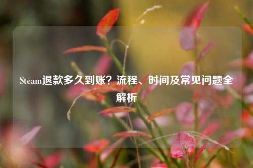 Steam退款多久到账?流程、时间及常见问题全解析