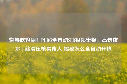 燃爆吃鸡圈!PUBG全自动SLR极限集锦,高伤泼水+丝滑压枪看傻人 揭秘怎么全自动开枪