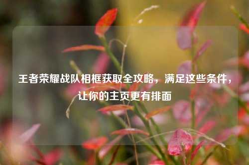 王者荣耀战队相框获取全攻略，满足这些条件，让你的主页更有排面