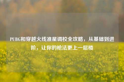 PUBG和穿越火线准星调校全攻略，从基础到进阶，让你的枪法更上一层楼