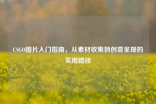 CSGO图片入门指南,从素材收集到创意呈现的实用路径