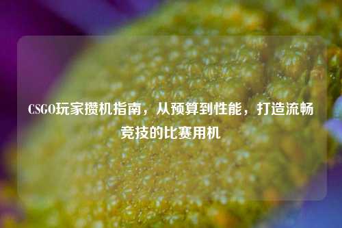 CSGO玩家攒机指南,从预算到性能,打造流畅竞技的比赛用机