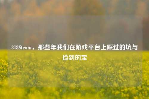 818Steam，那些年我们在游戏平台上踩过的坑与捡到的宝