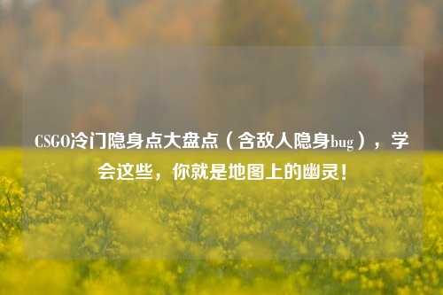 CSGO冷门隐身点大盘点（含敌人隐身bug），学会这些，你就是地图上的幽灵！