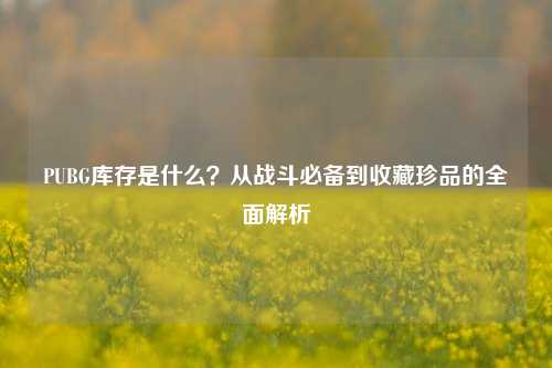 PUBG库存是什么？从战斗必备到收藏珍品的全面解析