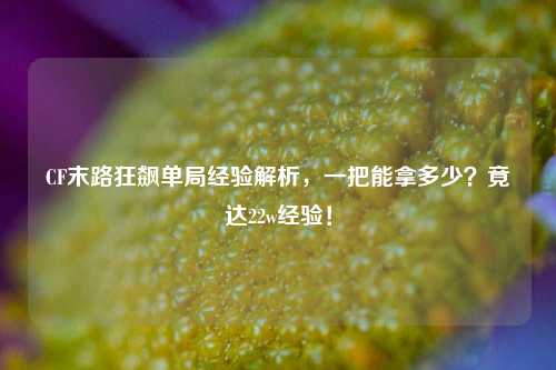 CF末路狂飙单局经验解析,一把能拿多少?竟达22w经验!