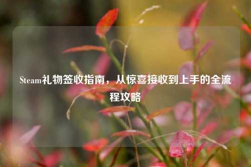 Steam礼物签收指南,从惊喜接收到上手的全流程攻略