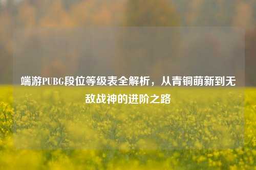 端游PUBG段位等级表全解析,从青铜萌新到无敌战神的进阶之路