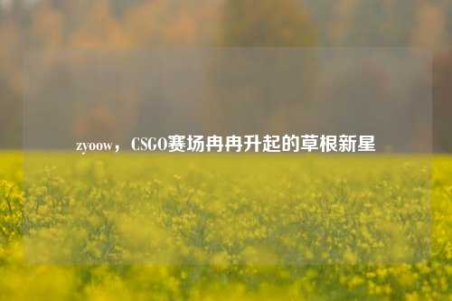 zyoow，CSGO赛场冉冉升起的草根新星