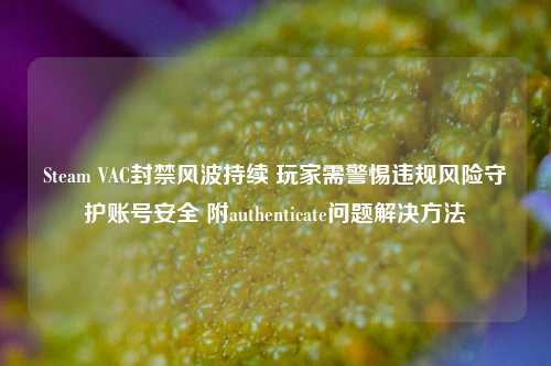 Steam VAC封禁风波持续 玩家需警惕违规风险守护账号安全 附authenticate问题解决 ***