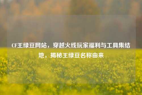 CF王绿豆网站,穿越火线玩家福利与工具集结地,揭秘王绿豆名称由来