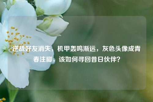 逆战好友消失，机甲轰鸣渐远，灰色头像成青春注脚，该如何寻回昔日伙伴？