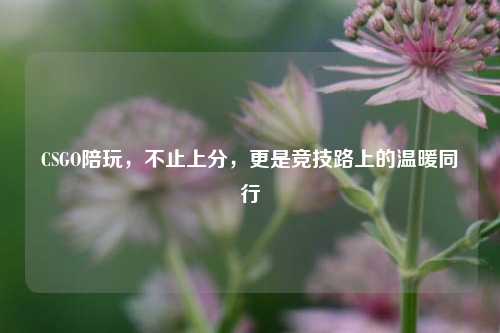 CSGO陪玩,不止上分,更是竞技路上的温暖同行