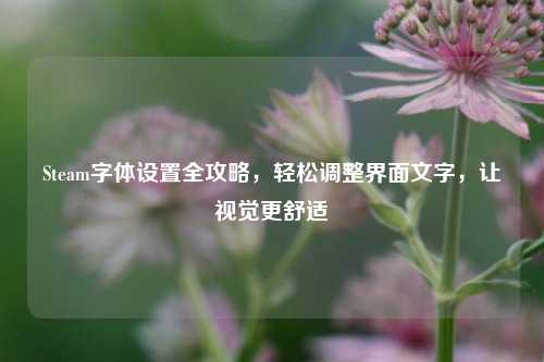 Steam字体设置全攻略,轻松调整界面文字,让视觉更舒适