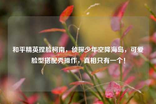 和平精英捏脸柯南，侦探少年空降海岛，可爱脸型搭配秀操作，真相只有一个！