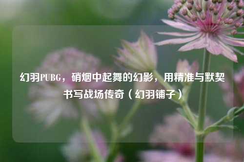 幻羽PUBG,硝烟中起舞的幻影,用精准与默契书写战场传奇(幻羽铺子)