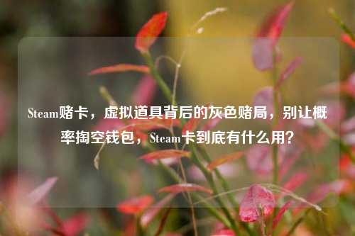 Steam赌卡,虚拟道具背后的灰色赌局,别让概率掏空钱包,Steam卡到底有什么用?