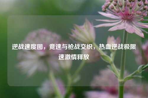 逆战速度图，竞速与枪战交织，热血逆战极限速 *** 释放