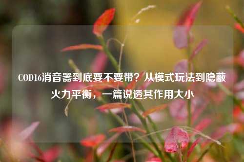COD16消音器到底要不要带？从模式玩法到隐蔽火力平衡，一篇说透其作用大小