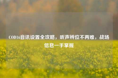 COD16音讯设置全攻略，听声辨位不再难，战场信息一手掌握