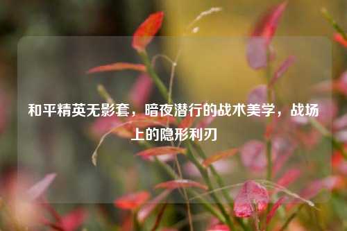 和平精英无影套,暗夜潜行的战术美学,战场上的隐形利刃