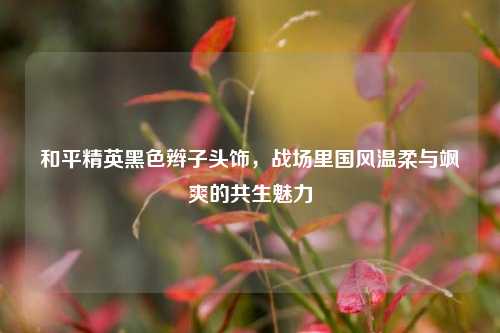 和平精英黑色辫子头饰,战场里国风温柔与飒爽的共生魅力