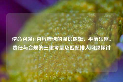 使命召唤16内容筛选的深层逻辑,平衡乐趣、责任与合规的三重考量及匹配排人问题探讨