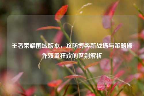 王者荣耀围城版本,攻防博弈新战场与策略操作双重狂欢的区别解析