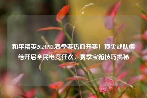 和平精英2024PEL春季赛热血开赛！顶尖战队集结开启全民电竞狂欢，赛季宝箱技巧揭秘