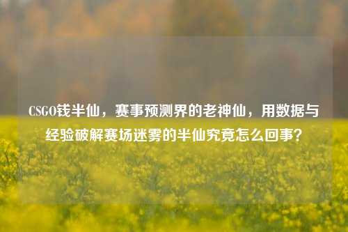 CSGO钱半仙,赛事预测界的老神仙,用数据与经验破解赛场迷雾的半仙究竟怎么回事?