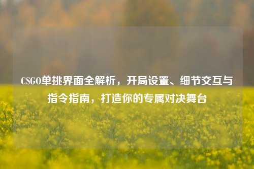 CSGO单挑界面全解析,开局设置、细节交互与指令指南,打造你的专属对决舞台