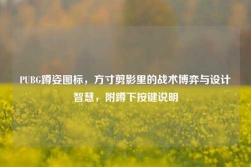 PUBG蹲姿图标,方寸剪影里的战术博弈与设计智慧,附蹲下按键说明