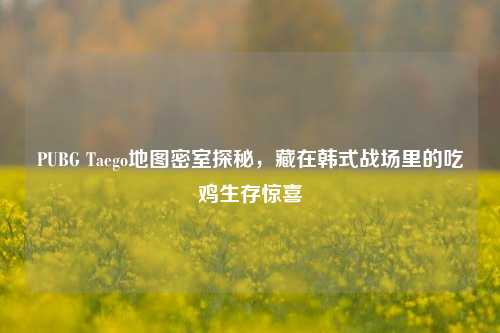 PUBG Taego地图密室探秘,藏在韩式战场里的吃鸡生存惊喜