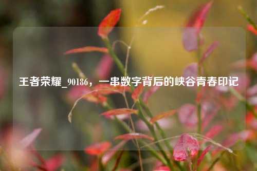王者荣耀_90186,一串数字背后的峡谷青春印记