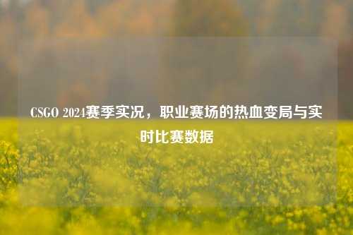 CSGO 2024赛季实况，职业赛场的热血变局与实时比赛数据