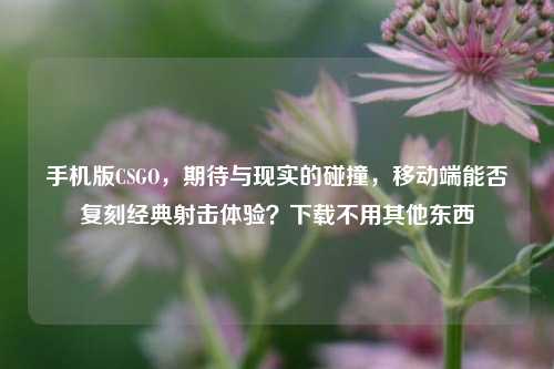 手机版CSGO,期待与现实的碰撞,移动端能否复刻经典射击体验?下载不用其他东西