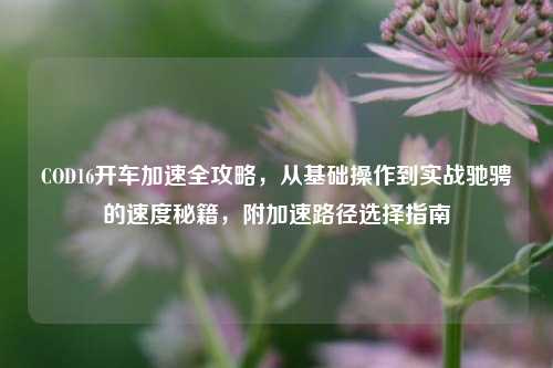 COD16开车加速全攻略，从基础操作到实战驰骋的速度秘籍，附加速路径选择指南