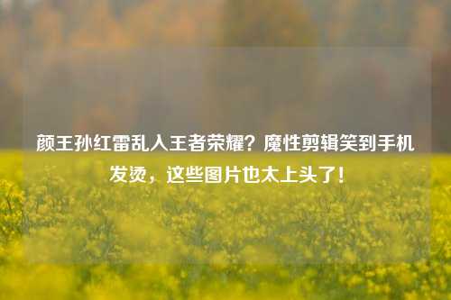 颜王孙红雷乱入王者荣耀？魔性剪辑笑到手机发烫，这些图片也太上头了！